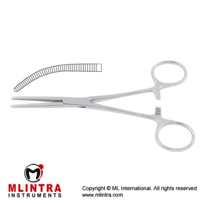 Rochester-Pean Haemostatic Forcep Curved Stainless Steel, 25.5 cm - 10"